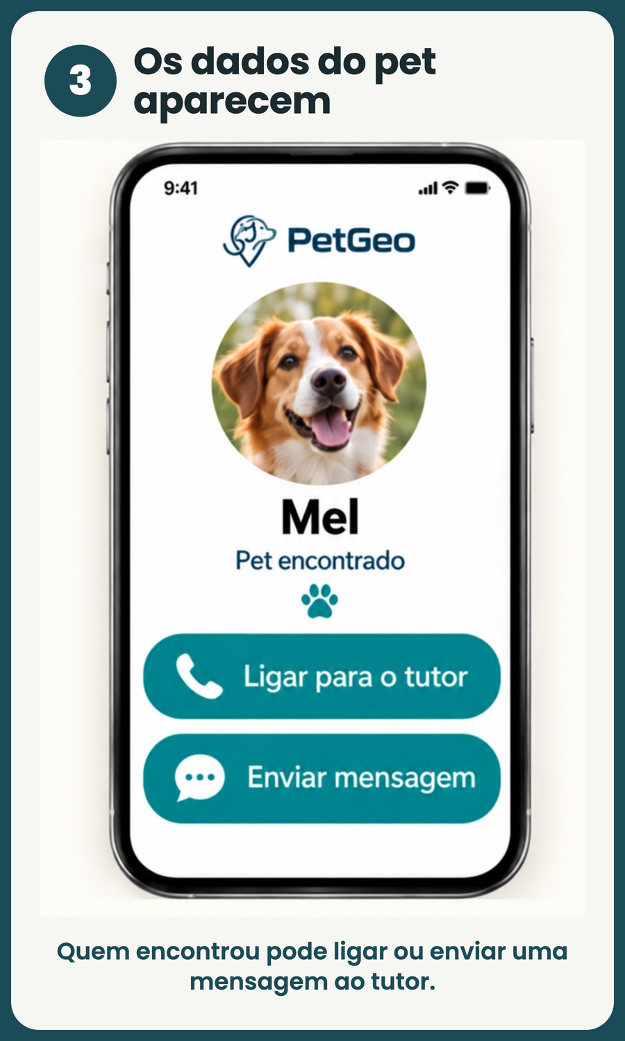 3. The pet data appears instantly